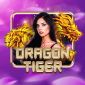 Juan 365 Dragon Tiger live casino